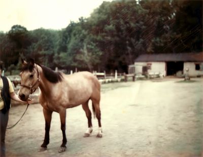 scout-bgstables-newcity-1980-05-24.jpg